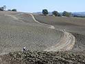 MTBTOSCANA2011  (237)